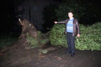BENZİN İSTASYONU - Zonguldak'ta Fırtınada Çatılar Uçtu, Ağaçlar Devrildi