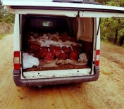 Edirne'de 1 Ton 825 Kilogram Canlı Midye Ele Geçirildi