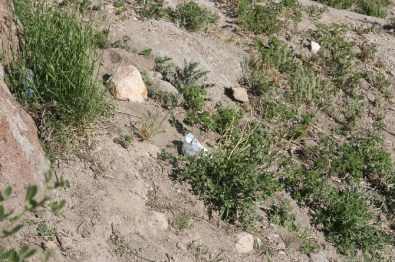 Gezmek İçin Çıktığı Kalenin Surlarından Aşağı Düştü