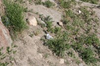 Gezmek İçin Çıktığı Kalenin Surlarından Aşağı Düştü