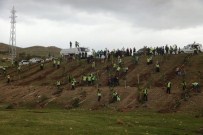 İpekyolu İlçesinde 50 Bin Ağacın Dikimine Başlandı