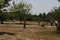 UÇURTMA FESTİVALİ - Kaş'ta 600 Uçurtma Uçtu