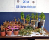 Muğla, Marmaris Ve Datça Polisinden Ortak Uyuşturucu Operasyonu