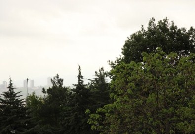 Polen alerjisine dikkat edin!