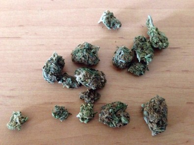 Tekirdağ'da 500 Grem 'Yeşil Kokain' Ele Geçirildi