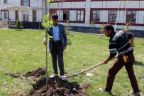 Ağrı İbrahim Çeçen Üniversitesi'nde 15 Bin Ağaç Toprakla Buluştu