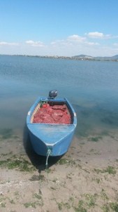 Edirne'de 1 Ton Canlı Midye Ele Geçirildi