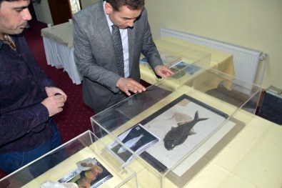 İzmir'de 513 Milyon Yıllık Deniz Lalesi Merakı