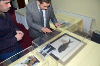 İzmir'de 513 Milyon Yıllık Deniz Lalesi Merakı