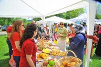 SÜLEYMAN YıLDıRıM - Kırkpınar'da 'Geleneksel Turizm Haftası Şenliği' Düzenlendi