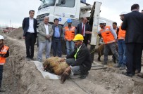 SAMANLıK - Patnos Belediyesi Canlı Hayvan Pazarı'nın Temelini Attı