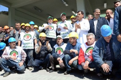 Şeker İşçilerinden Bir Garip Eylem