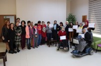 ŞÜKRÜ KARABACAK - Darıca'da Engelliler Sertifikalarını Aldı