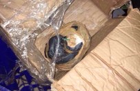 DHKP-C TERÖR ÖRGÜTÜ - DHKP-C operasyonunda ele geçirildi!