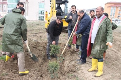 Diyadin Devlet Hastanesi'nde Fidan Dikimi