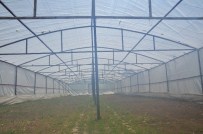 ASFALT ŞANTİYESİ - Erciş Belediyesi Sera Kuruyor