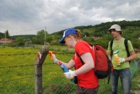 İznik'te Evliya Çelebi Rotaları İşaretleniyor