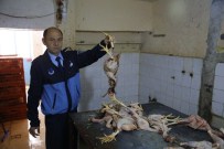 KAÇAK KESİM - Kaçak Tavuk Operasyonunda Şoke Eden Görüntü