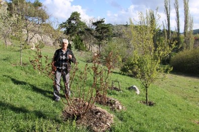 Köyden Şehre Göç Tersine Döndü