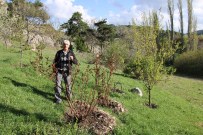Köyden Şehre Göç Tersine Döndü