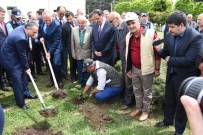 ALI FIDAN - Okul Bahçesinde Fidan Diktiler