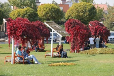 'Sael' Atılım Üniversitesi'nin Tescilli Markası Oldu