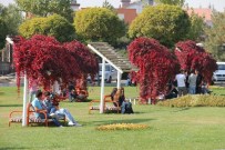 EKONOMETRI - 'Sael' Atılım Üniversitesi'nin Tescilli Markası Oldu