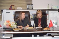 NÜKHET HOTAR - AK Parti Genel Başkan Yardımcısı Hotar Açıklaması '720 Bin Taşeron İşçi Kadroya Geçecek'