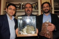 Bin Kilometreden Gaziantep'e Uzanan Bakır Aşkı