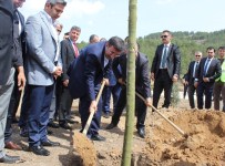 SALİH FIRAT - Kalkınma Bakanı Cevdet Yılmaz Ağaç Dikti