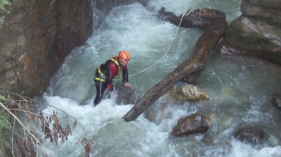 Savaştan Kurtuldu, Şelalede Kayboldu