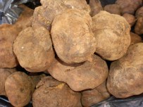 Yer Elması, Etle Yarışıyor