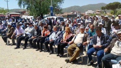 İzmir Büyükşehir Kiraz'da İkinci Kez Koyun Keçi Dağıttı