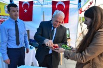 KORDON - Lapseki Kirazı İlgi Odağı Oldu