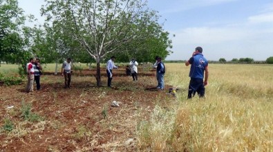 Suriye Tarafından Atılan Bir Roket Mermisi Daha Kilis'e Düştü