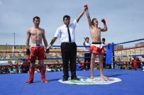 HİDAYET SARI - Bozova'da Kick Boks Şampiyonası Düzenlendi