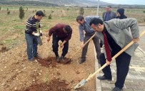 ZAKKUM - İslahiye MYO'dan Fidan Dikme Etkinliği