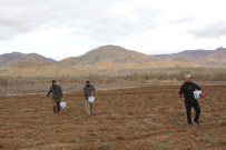 OSMAN ASLAN - Kuşlar İçin 25 Dönüm Arpa Ektiler