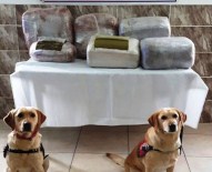 Şanlıurfa'da 58 Kilo Esrar Ele Geçirildi