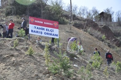 Tunceli'de Tahir Elçi İçin Barış Ormanı
