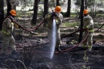 YANGIN TATBİKATI - Yabancı Ormancılar, Ormanda Çıkan Yangını Söndürmek İçin Kıyasıya Uğraş Verdi