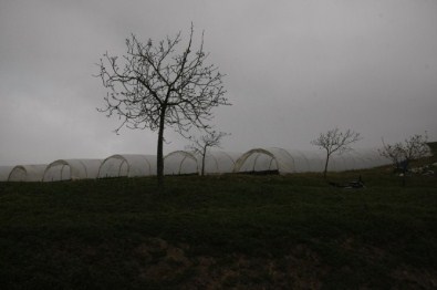 150 Yıllık Sıkıntı 1.5 Ayda Çözüldü