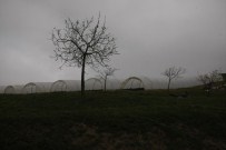 150 Yıllık Sıkıntı 1.5 Ayda Çözüldü