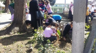 Devrekli Öğrenciler Fidan Dikti