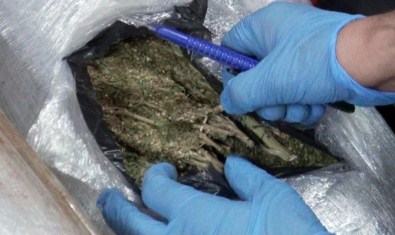 Fatih'te 25 Kilo Hint Keneviri Ele Geçirildi