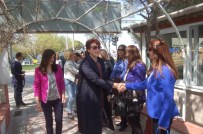 TAHIR ŞAHIN - Kaymakam Eşleri İlçeleri Geziyor