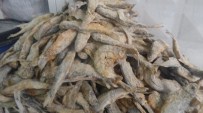AV YASAĞI - Küp Peynir İle Tuzlu Balığın Yerini Tazeleri Alıyor