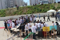 Mardin'de Bilim Fuarı Açıldı