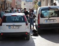 PİTBULL - Üsküdar'da Pitbull Dehşeti Açıklaması 3 Yaralı