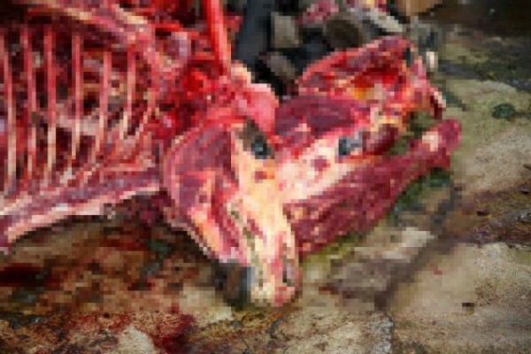 İzmir'de korkunç görüntü!